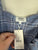 Seed powder blue gingham dress Sz 12 NWT