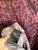 Taking Shape Merlot paisley dress Sz 16 RRP $169.95 NWT