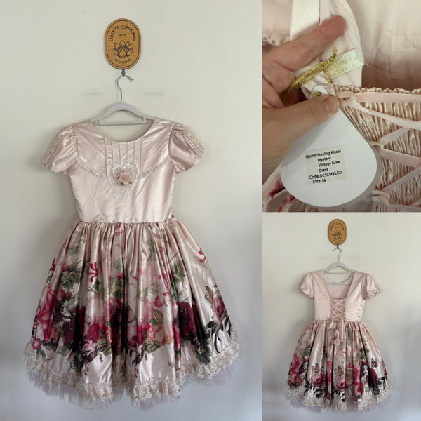 Dollcake Stealing Kisses Luxe dress RARE Sz 14 NWT