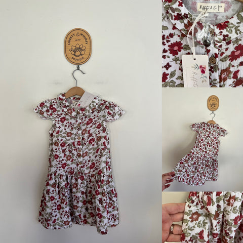 Ruffets & Co floral button up dress Sz 1-2 but huge, best fit 2-3 NWT